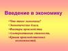 Введение в экономику