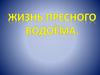 Жизнь пресного водоема