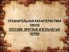 Сравнительная характеристика типов плоские, круглые и кольчатые черви
