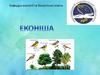 Екологічна ніша  (лекція 5)