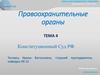 Правоохранительные органы. Конституционный Суд РФ