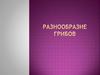Грибы́ - царство живой природы, объединяющее организмы, сочетающие в себе признаки как растений, так и животных