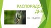 Распорядок дня на неделю