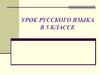 Множественное число имен существительных. Урок русского языка в 5 классе