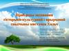 Праблемы захавання гісторыка-культурнай і прыроднай спадчыны мястэчка Хальч