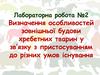 Визначення особливостей зовнішньої будови хребетних тварин у зв’язку з пристосуванням до різних умов існування. ЛР №2