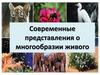 Современные представления о многообразии живого