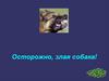 Осторожно, злая собака!