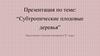 Субтропические плодовые деревья