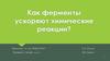Как ферменты ускоряют химические реакции?