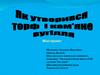 Як утворився торф і кам’яне вугілля?