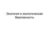 Экология и экологическая безопасность