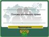 Основы уголовного права. Правоведение