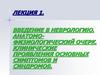 Введение в неврологию. Анатомофизиологический очерк. Клинические проявления основных симптомов и синдромов. Лекция 1
