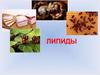 Липиды. 10 класс