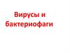 Вирусы и бактериофаги