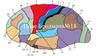 Поле Бродмана №18