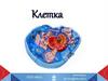 Клетка
