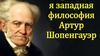 Философия А. Шопенгауэра