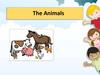 The Animals  (1 класс)
