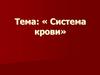 Система крови