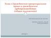 Гражданское процессуальное право и гражданское судопроизводство (общие положения)