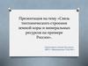 Связь тектонического строения земной коры и минеральных ресурсов на примере России