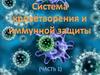 Система кроветворения и иммунной защиты (часть 1)