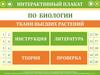 Интерактивный плакат по биологии. Ткани высших растений