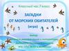 Загадки морских обитателей