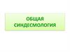Общая синдесмология