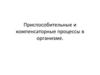 Приспособительные и компенсаторные процессы в организме