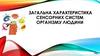 Загальна характеристика сенсорних систем організму людини