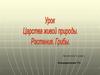 Царства живой природы. Растения. Грибы