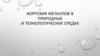 Коррозия металлов в природных и технологических средах