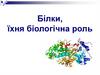 Білки, їхня біолгічна роль