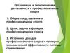 Организация и экономическая деятельность в профессиональном спорте. Лекция №8