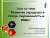 Развитие зародыша и плода. Беременность и роды
