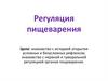 Регуляция пищеварения. Павлов Иван Петрович