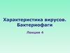 Характеристика вирусов. Бактериофаги. Лекция 4