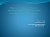 Образовательные методики, обеспечивающие формирование метадеятельности учащихся
