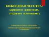 Кожеедная чесотка: хориоптоз животных, отодектоз плотоядных