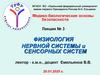 Физиология нервной системы и сенсорных систем
