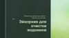 Эйхорния для очистки водоемов