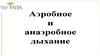 Аэробное и анаэробное дыхание