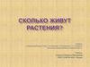 Сколько живут растения?