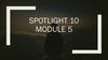 Spotlight 10 5a. Quiz
