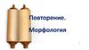 Повторение. Морфология