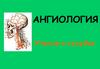 Ангиология. Учение о сосудах
