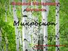 Микроскоп. Василий Макарович Шукшин